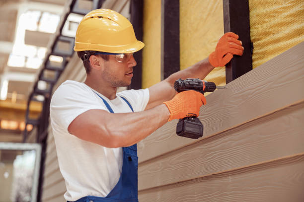 Best Siding Painting and Refinishing  in Clio, MI